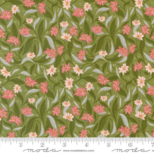 MO Woodland Wonder Fern 48393 -19