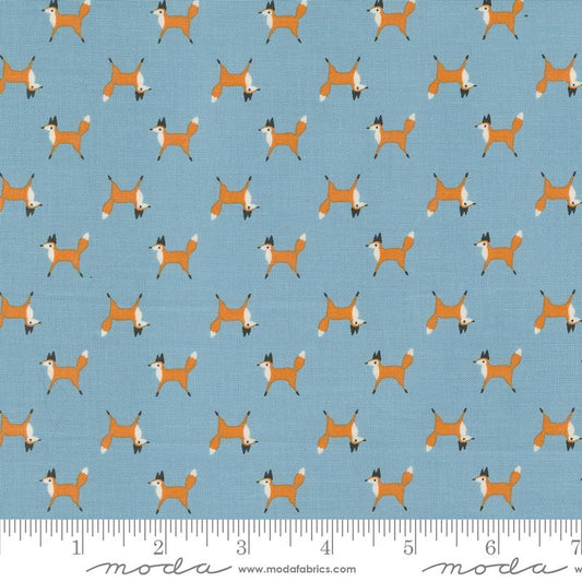 MO Woodland Wonder Sky 48394-16