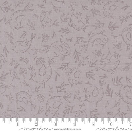 MO Chirp Trace a Bird Dove 39034-15
