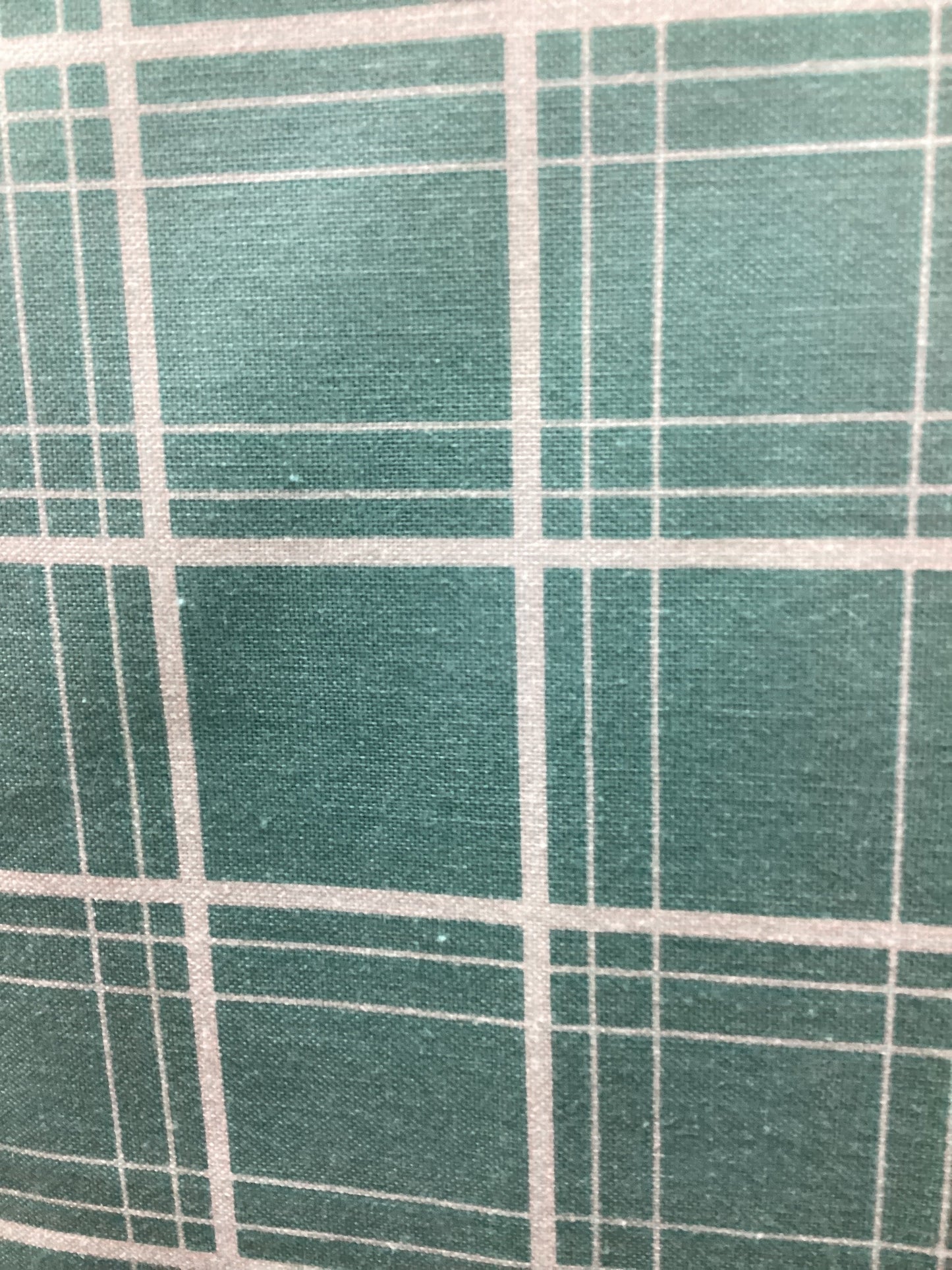 RB Aqua C14775 Ski Hill Ski Tracks Plaid