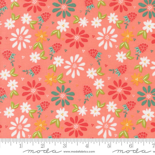 MO Raspberry Summer Carnation 37690-12