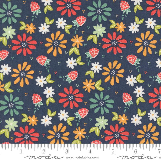 MO Raspberry Summer Blueberry 37690-20