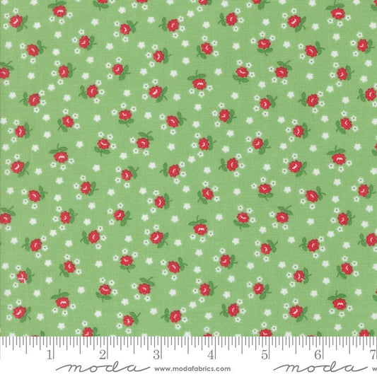 MO Summertime Green 55328-17