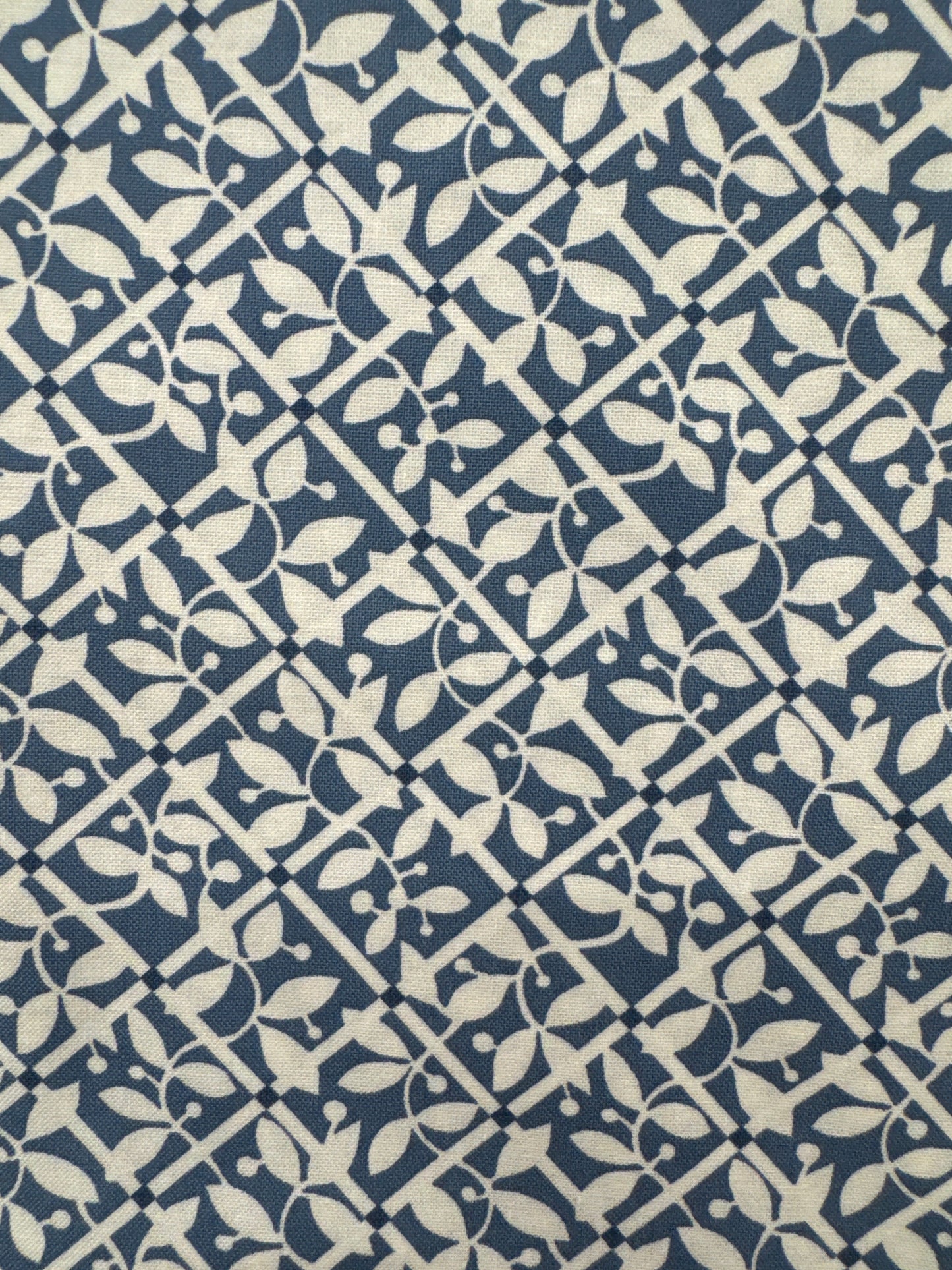 MO Shoreline Denim Leaves and Lattice