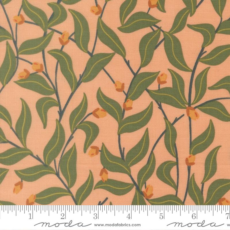 MO Peachy Peach 38154 13