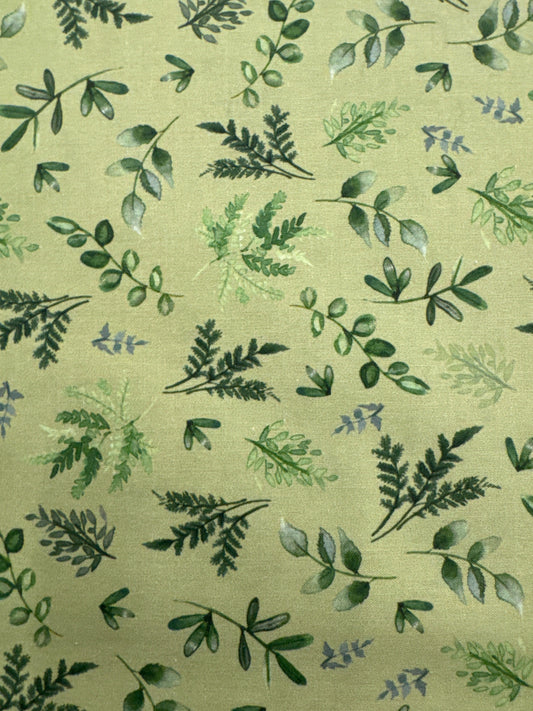CW Wild Wonder Green