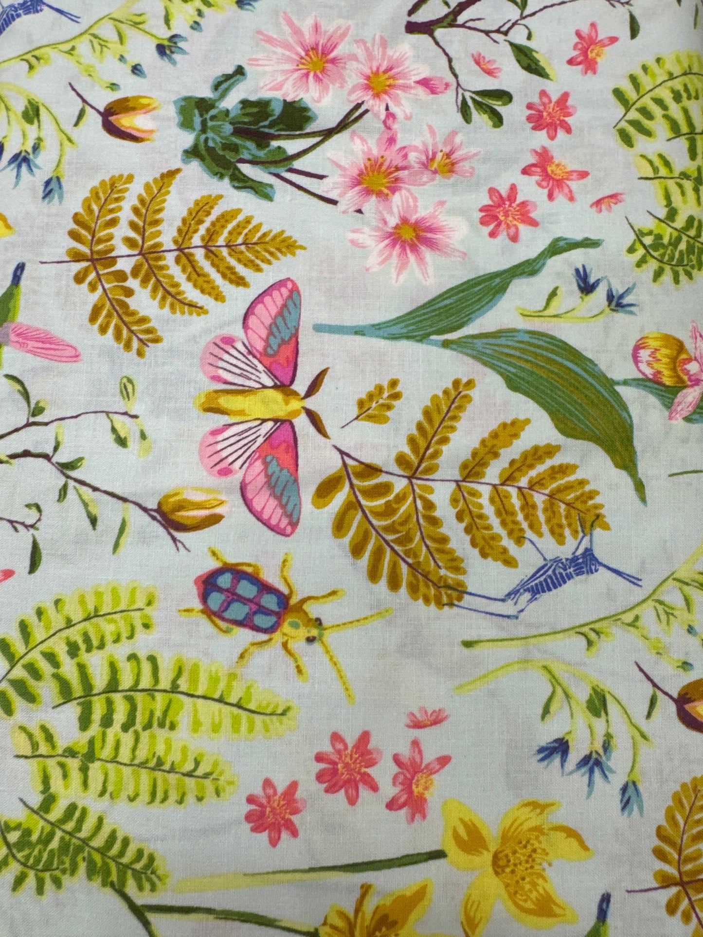 WD Moths, Beetles and Hummingbirds, Oh My! Mint