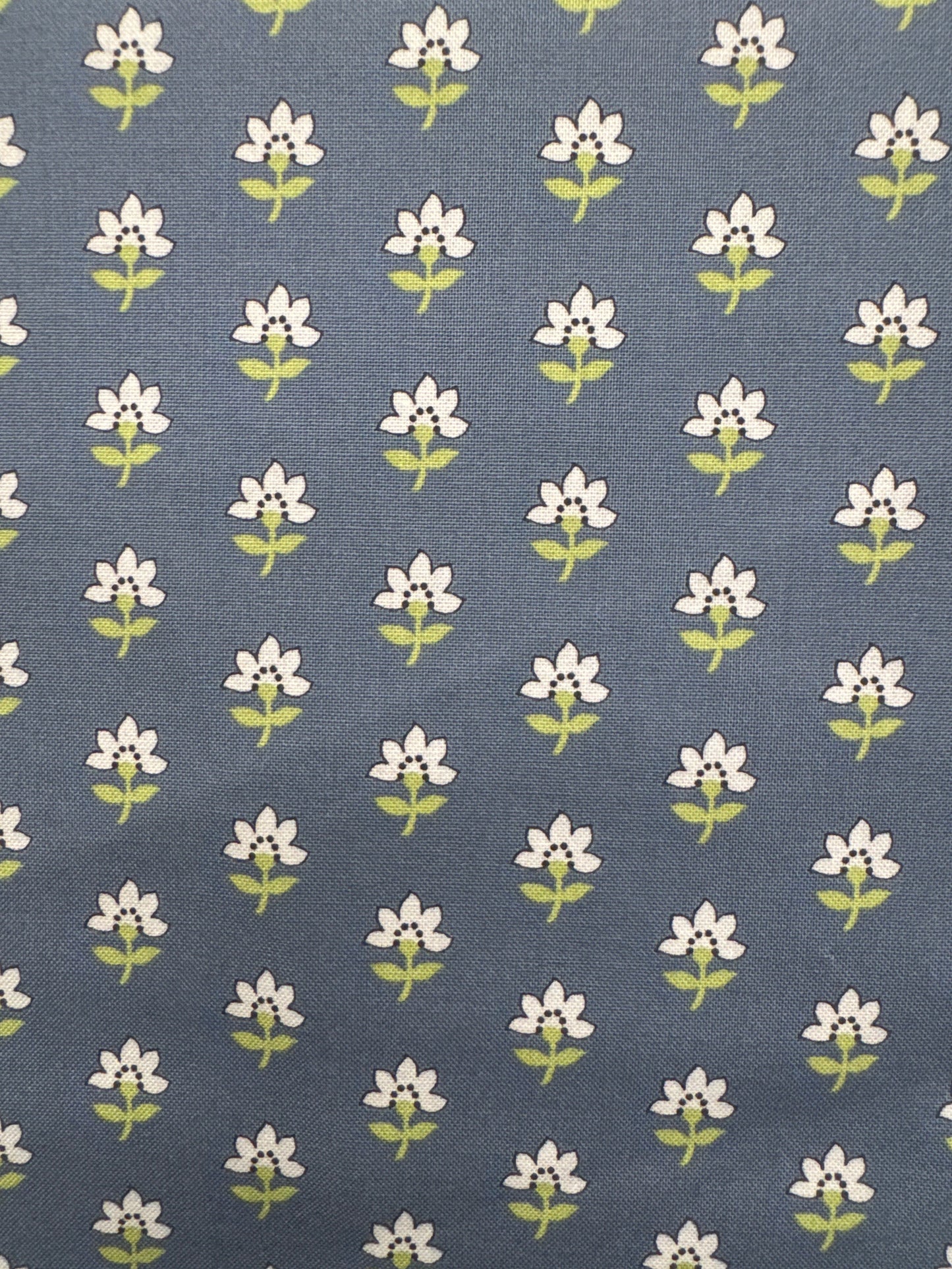 MO Shoreline Blue Flower Print