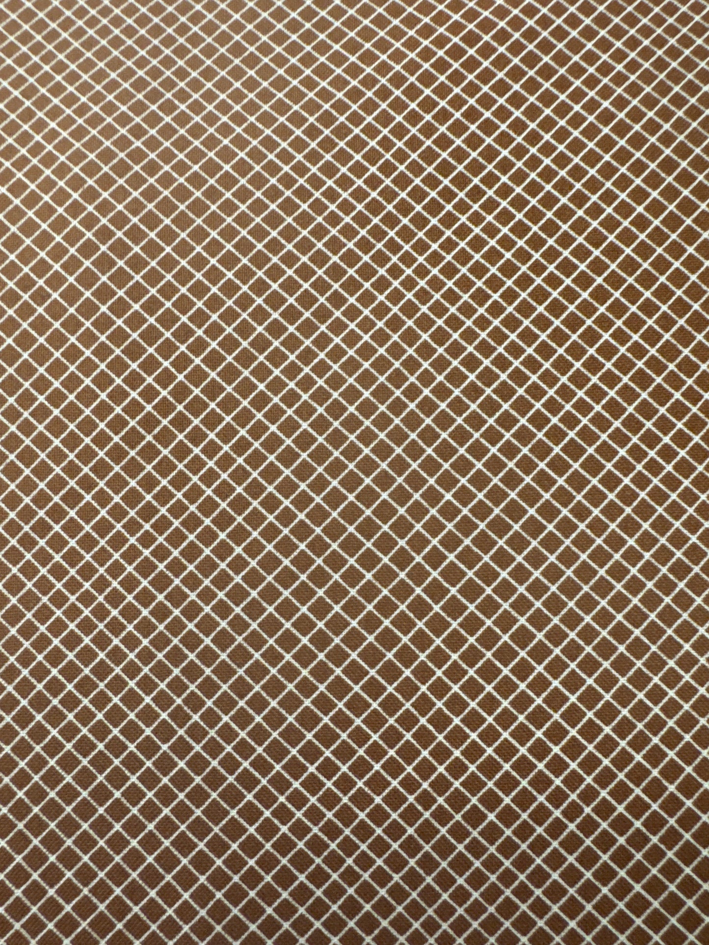 MO Quaint Cottage Gingham Auburn