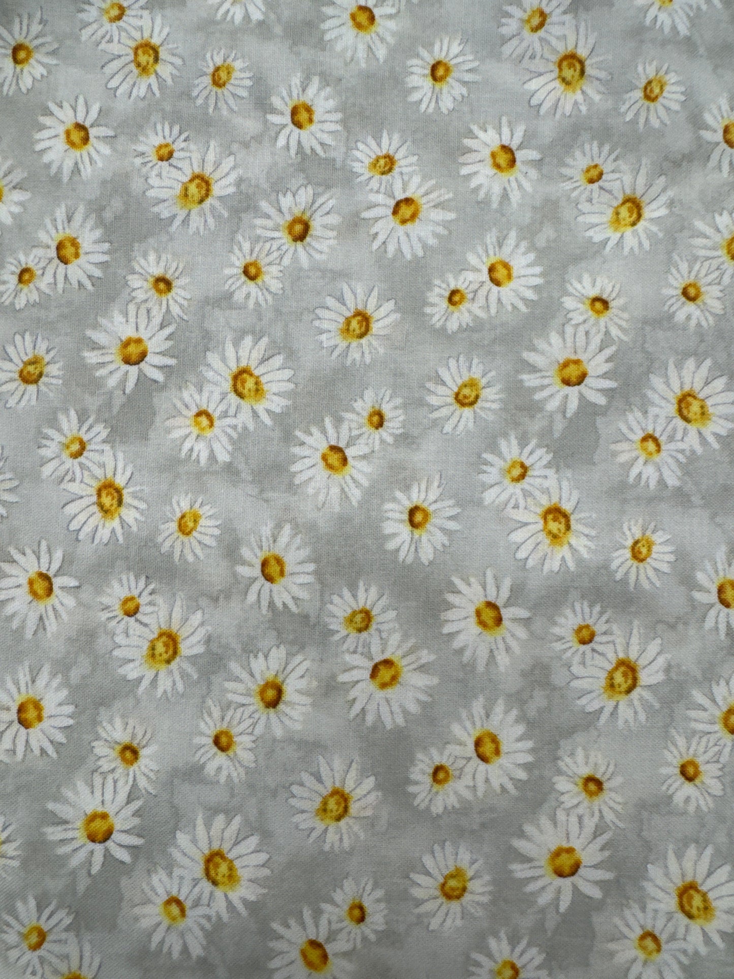 WL Zest For Life white Daisy