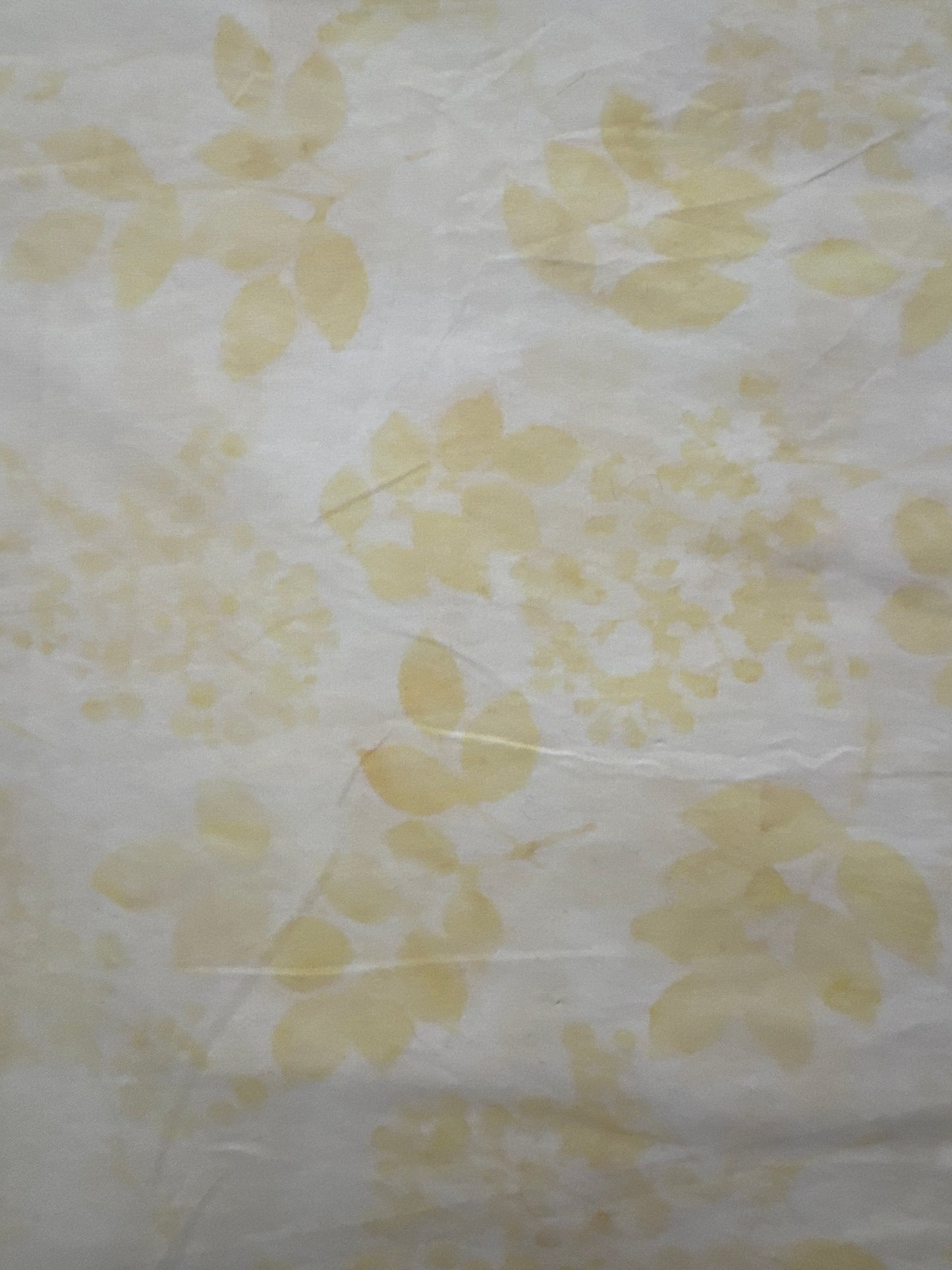 HO Gardenia Ivory