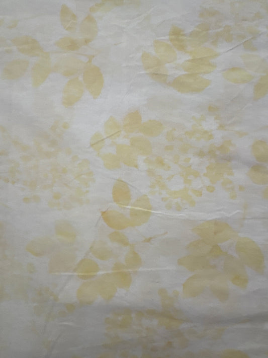 HO Gardenia Ivory