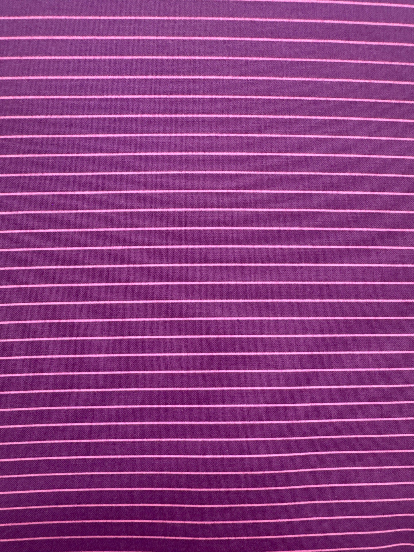 FS True Colors Tiny Stripes Aster