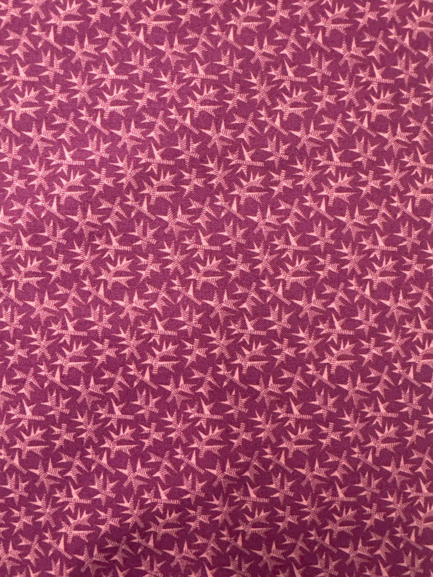 AN English Garden Dark Magenta