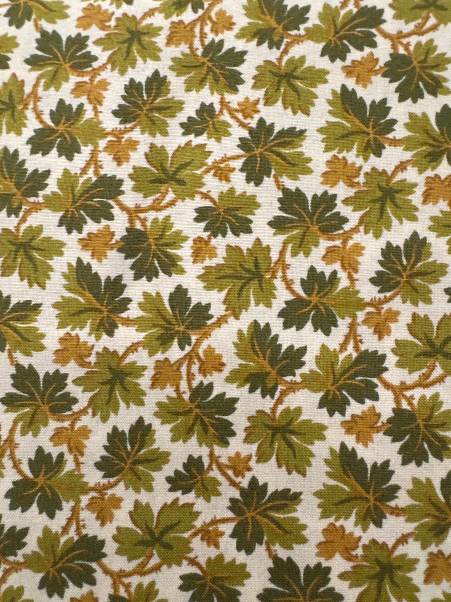 AN Autumn Woods Turning Leaves Green
