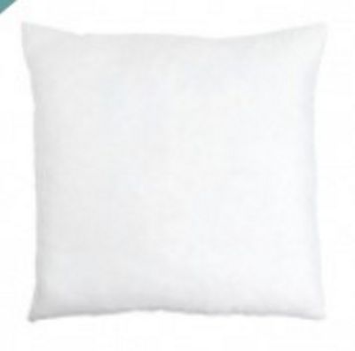Cuddle Dreamz 24X24 Pillow Form White