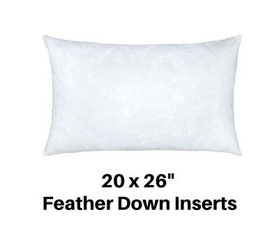 Cuddle Dreamz 20X26 Pillow Form White