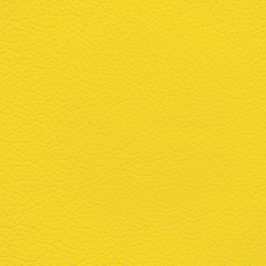 WALK101 — Canary