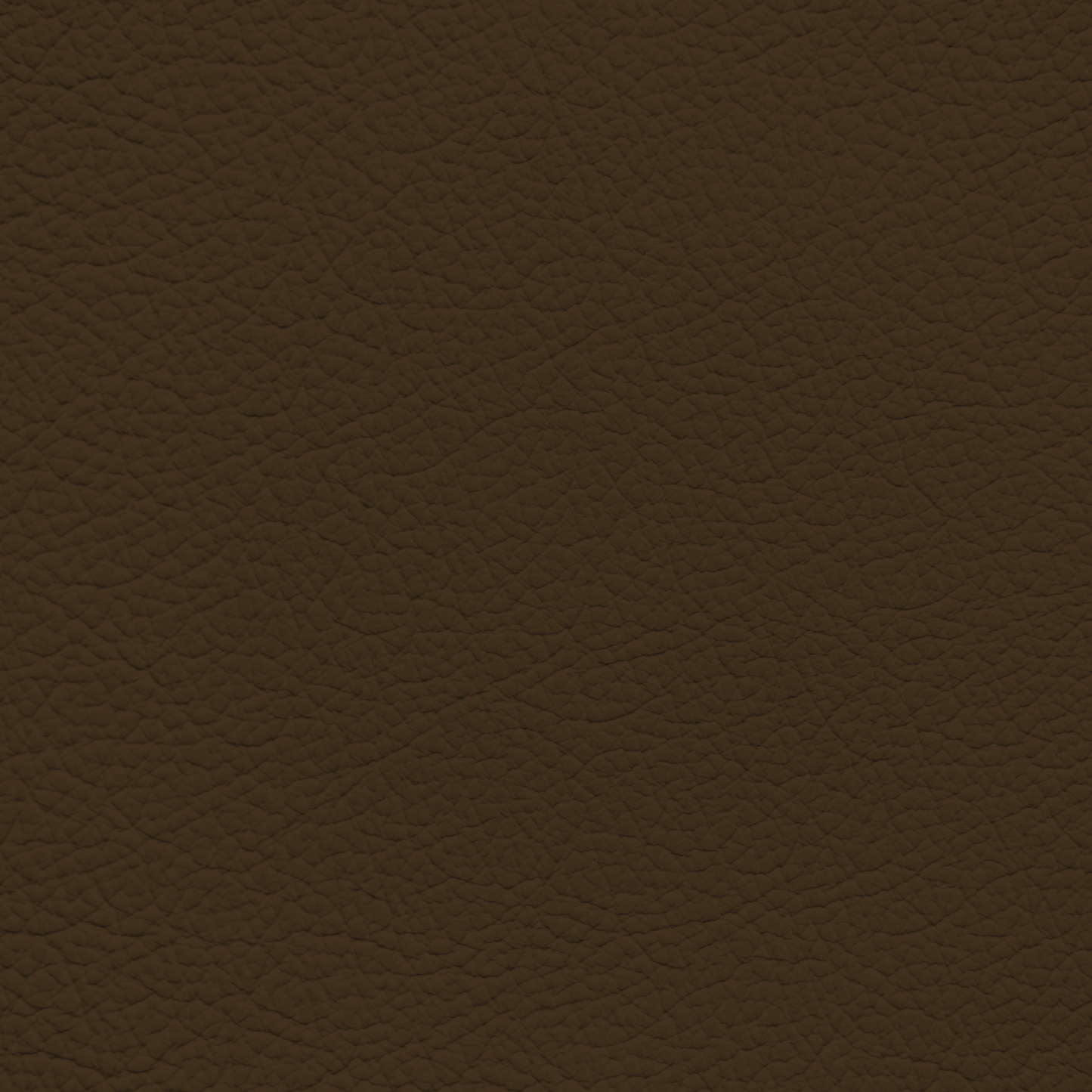 WALK101 — Chocolate Bar