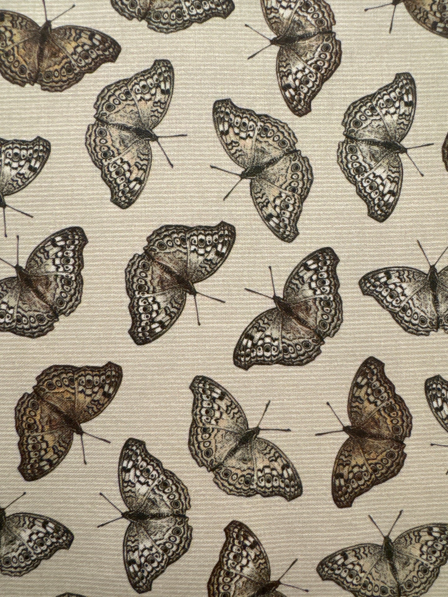 BF Natures Whisper Butterflies on Taupe