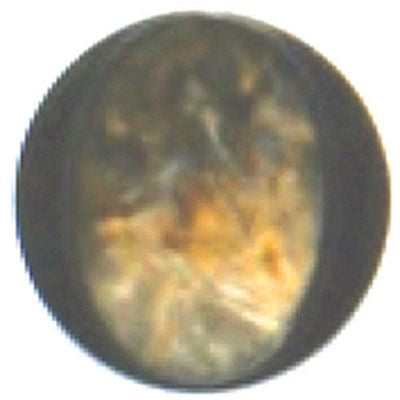 Fashion Buttons 3/4