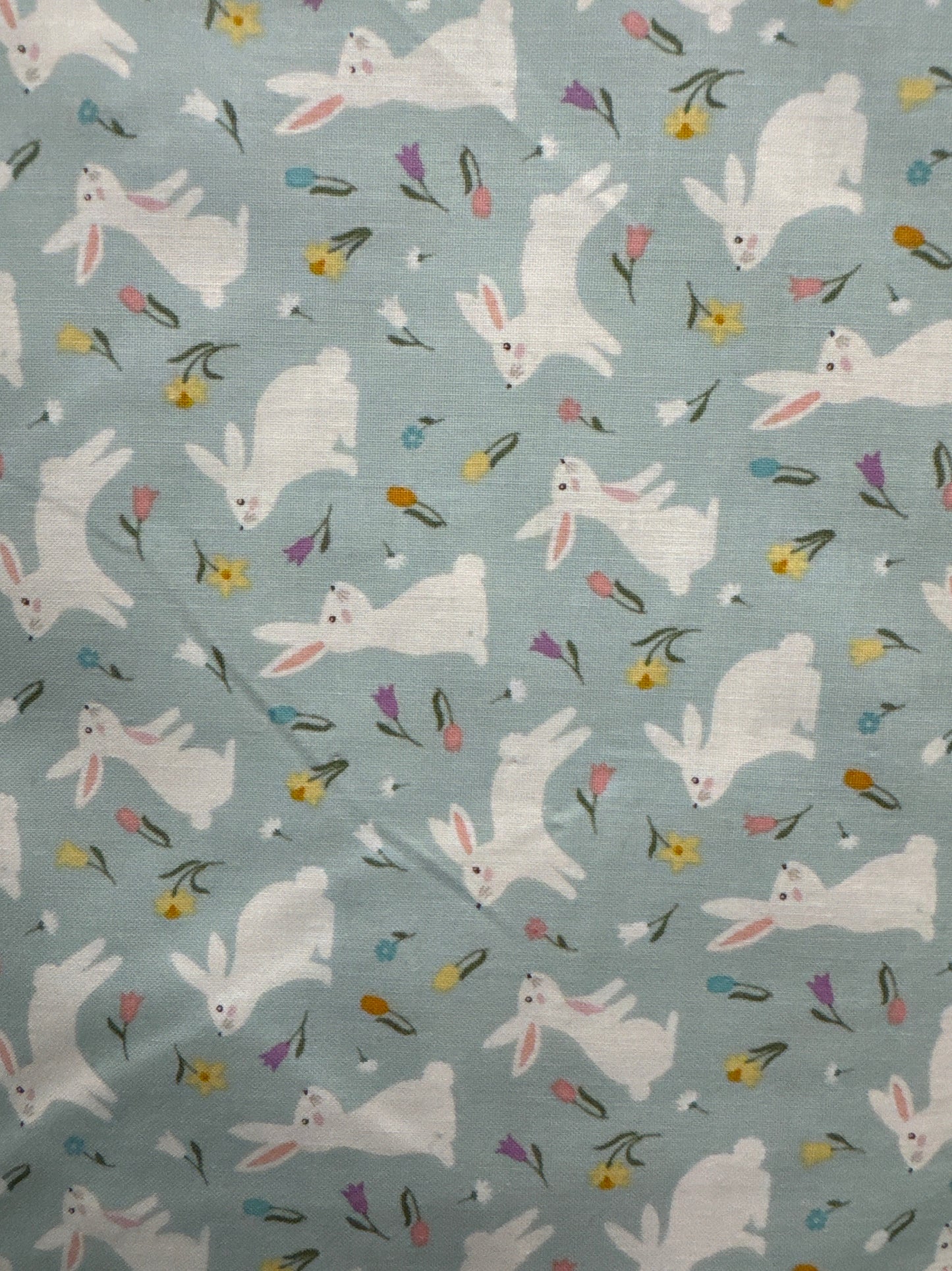 RB Bunny Trail Powder Blue