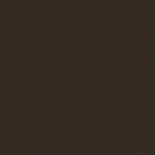 WALK101 — Dark Roast