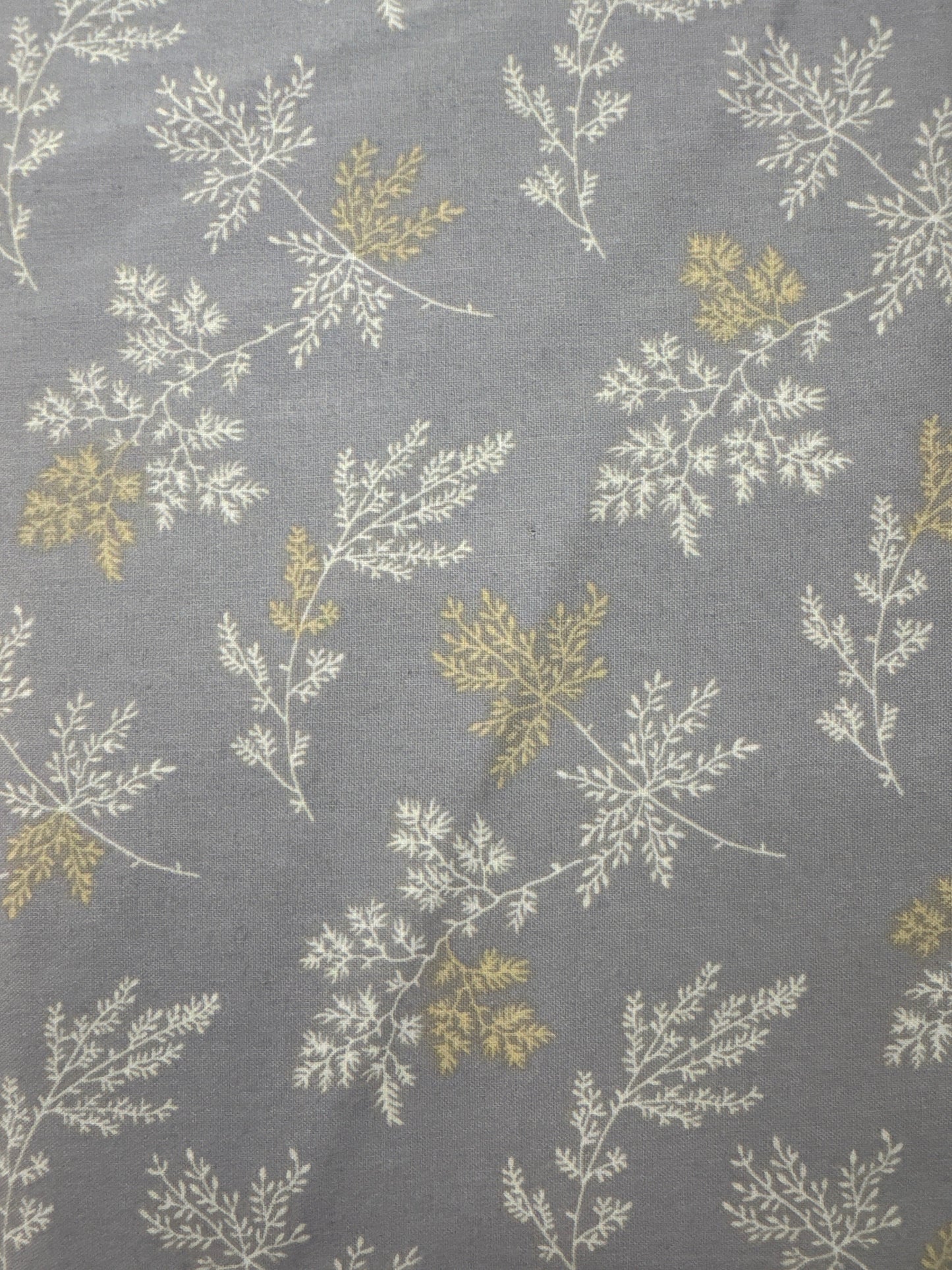 AN Moonstone Light Grey