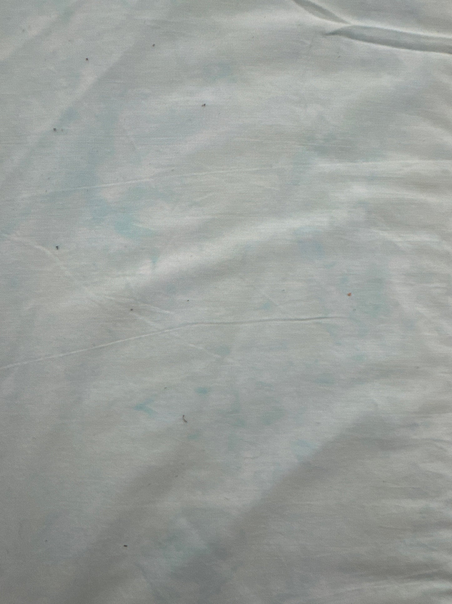 RB Expressions Twisted Teal