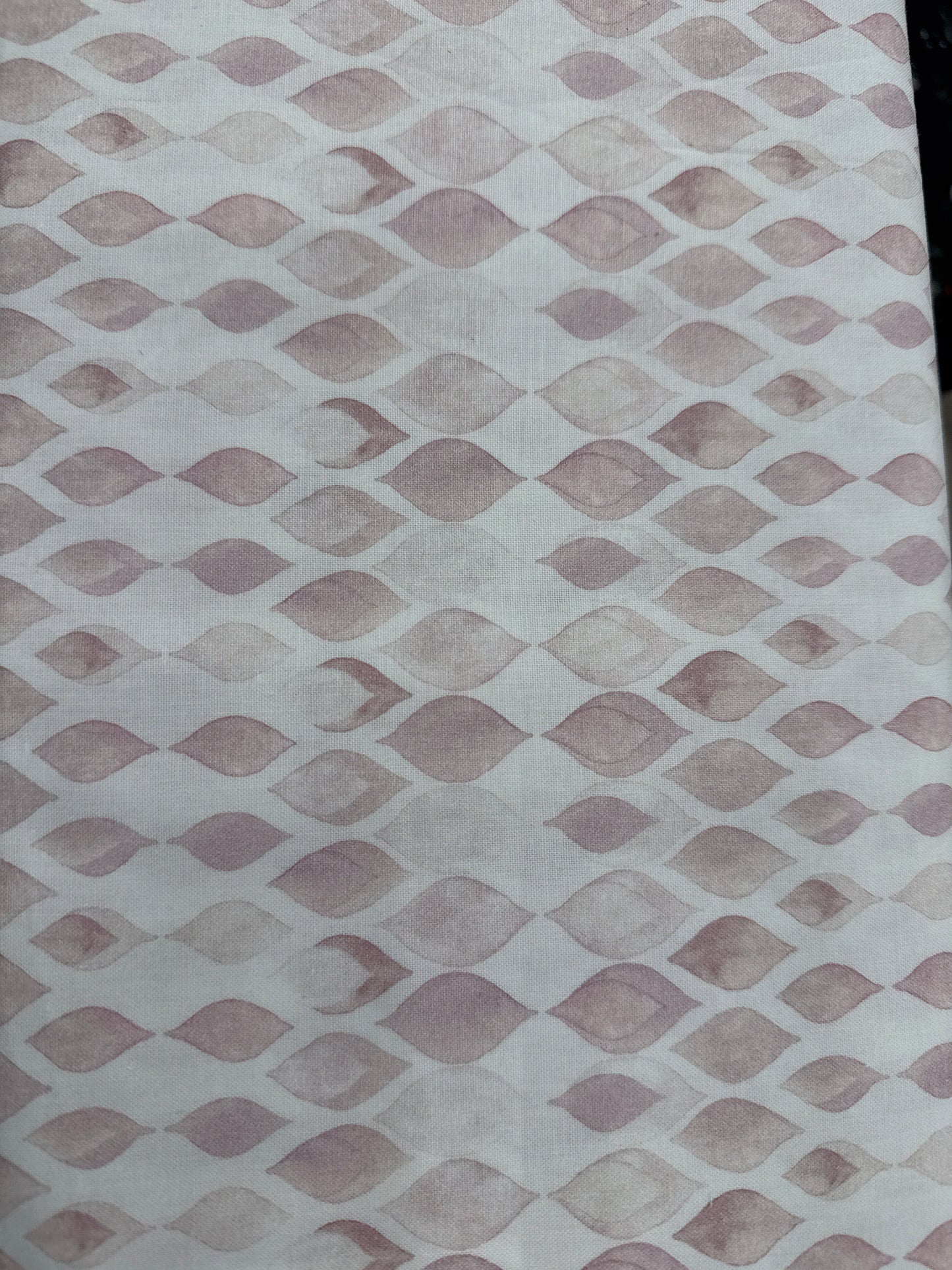 FS Butterfly Wing Blush