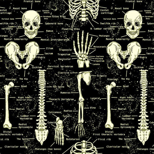 Black Glow in the Dark Skeletons Cotton 44"/45" Fabric Per Yard
