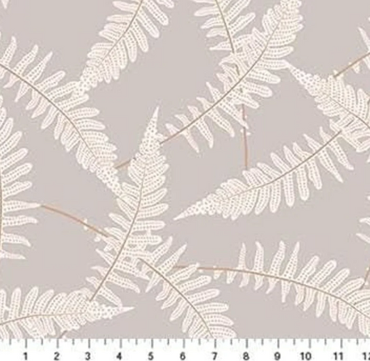 FI Ferns Gray The Botanist
