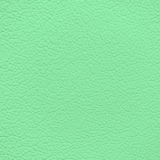 WALK101 — Fresh Mint