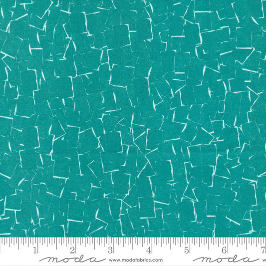 MO Bluebell Teal Shadowgraph