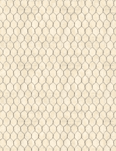 WL Cream Chicken Wire Garden Gate Roosters