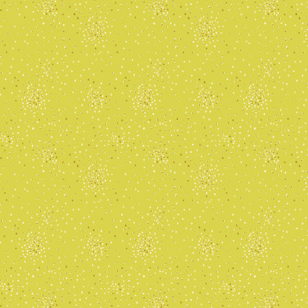 CS Basics Honeydew Melon
