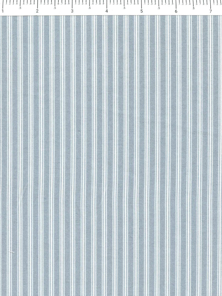 FI Nest Aqua Stripe