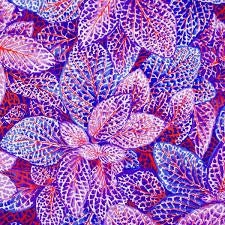 FS K. Fassett Fittonia Blue