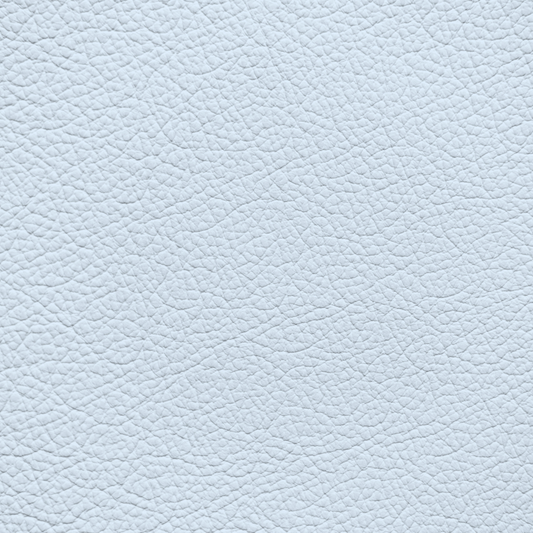 WALK101 — Icy White