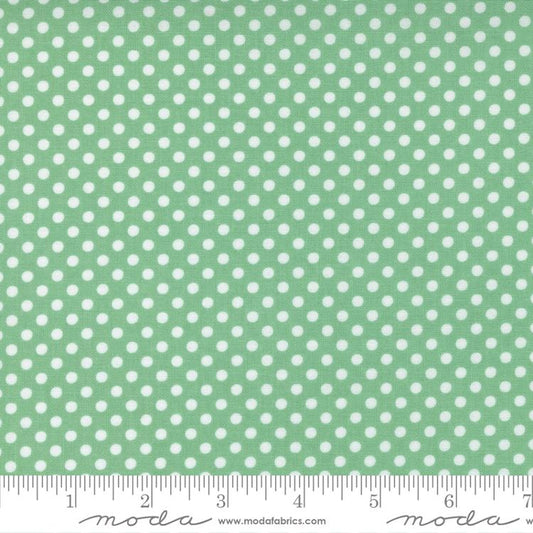 MO 30s Playtime Aloe 33637 15