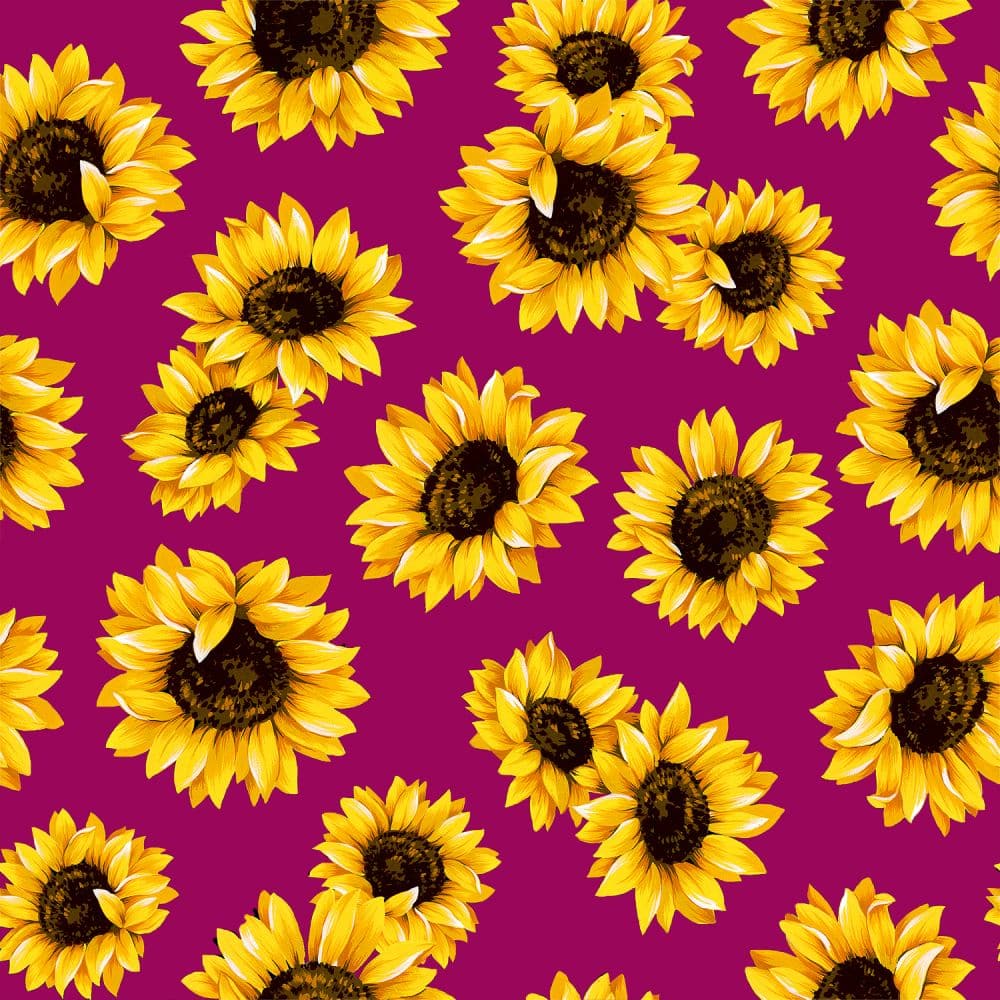 Magenta Sunflower Dance 45" wide Fabric per yard