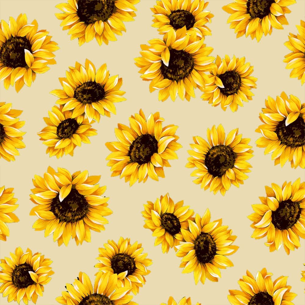 Natural Sunflower Dance 45" wide Fabric (5/8 yard pack)
