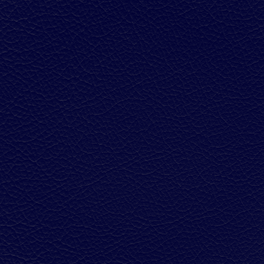 WALK101 — Navy Fade