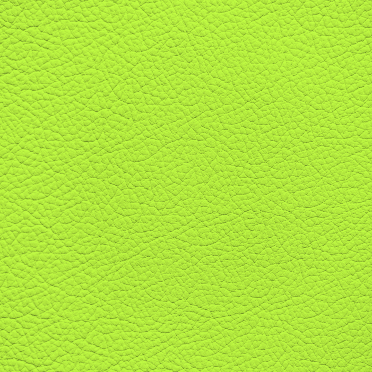 WALK101 — Neon Kiwi
