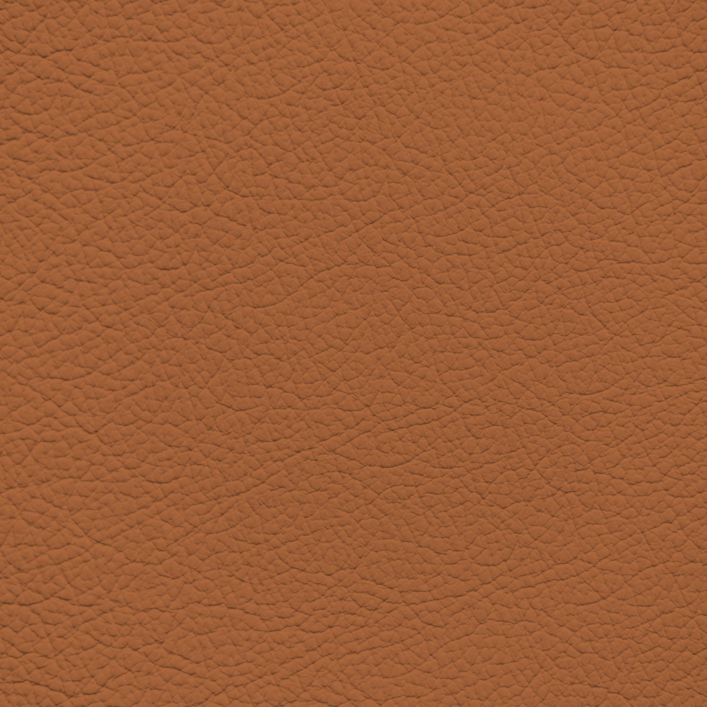 WALK101 — Nutmeg