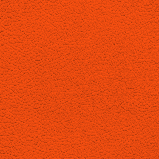 WALK101 — Orange Pop