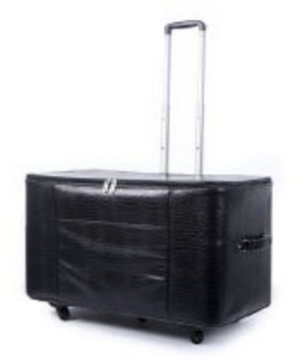 Case Deluxe Hard Sided SpinBer