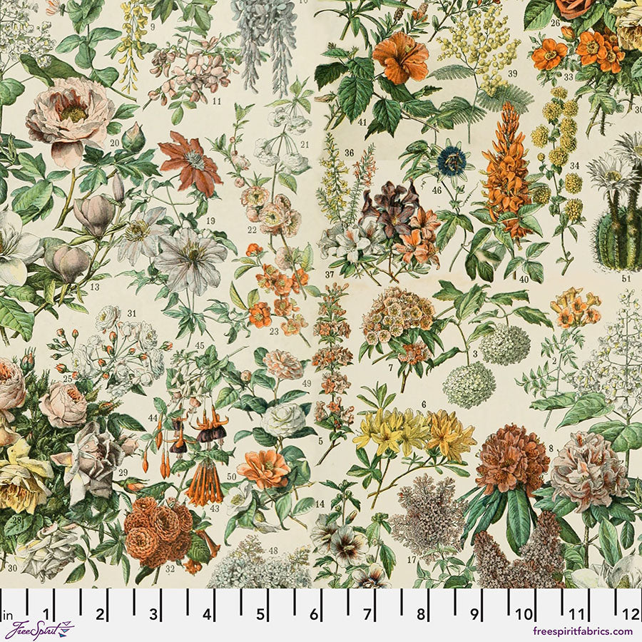 FS Orange Palette Botanical PWTH237-Tim Holtz