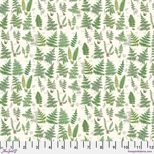 FS Green - Ferns Tim Holtz PWTH265
