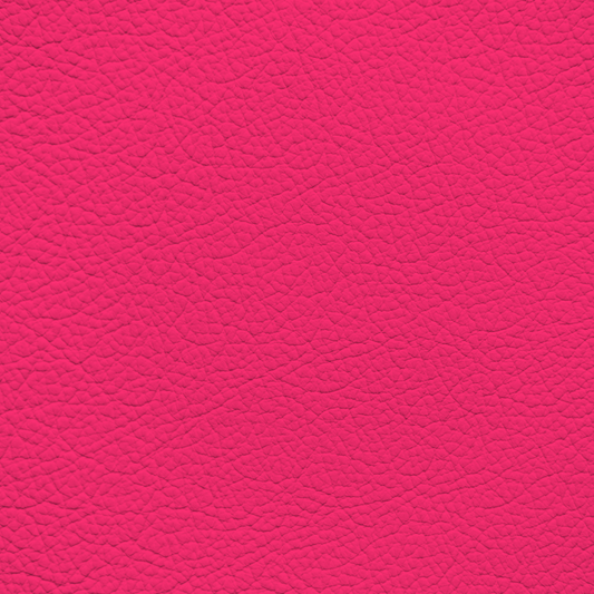 WALK101 — Pink Pop